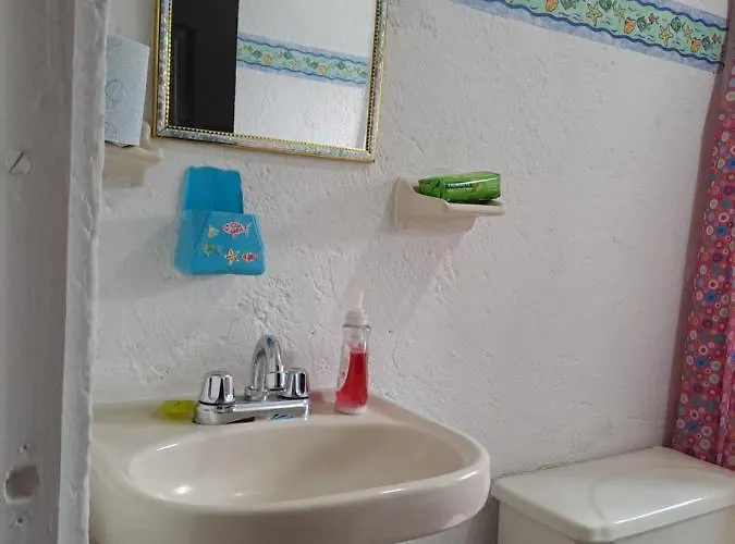 Pita Apartment Mexico City